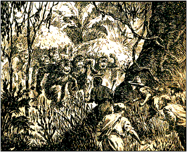Illustration