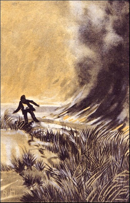 Illustration