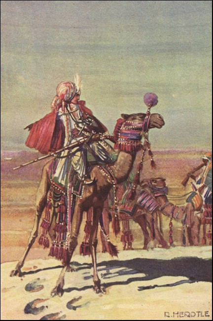 Illustration