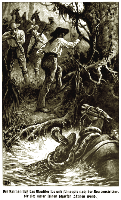 Illustration