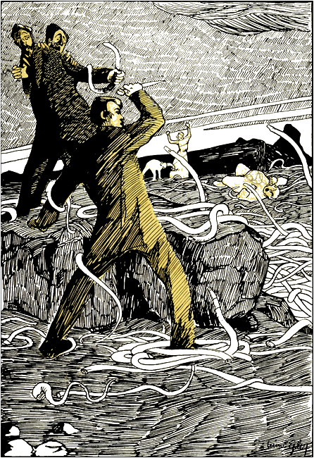 Illustration