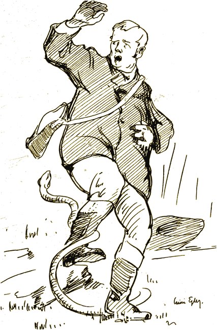 Illustration