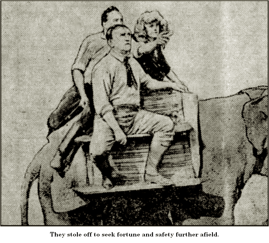 Illustration