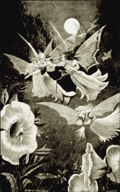 Illustration