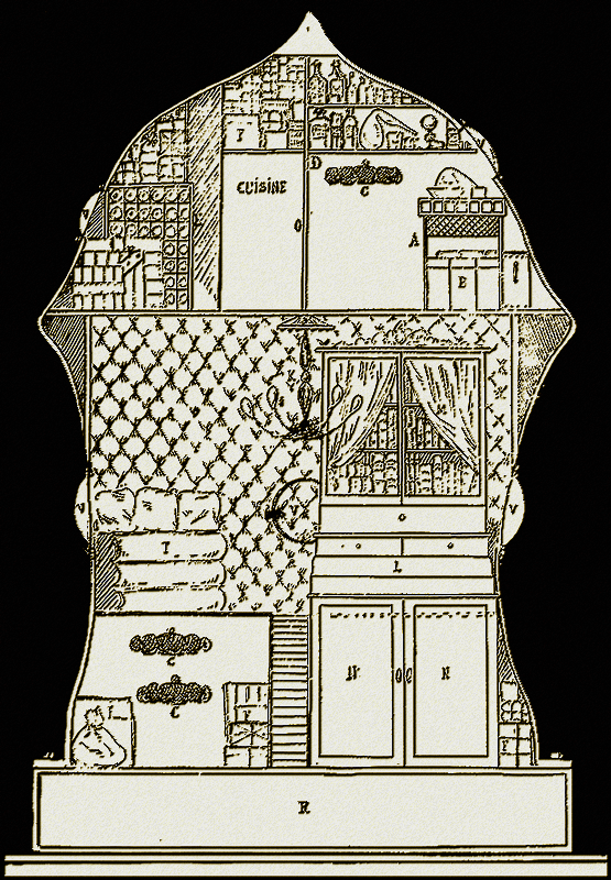 Illustration
