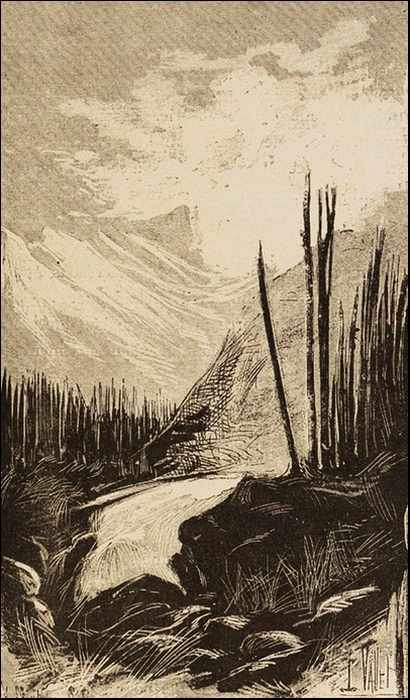 Illustration