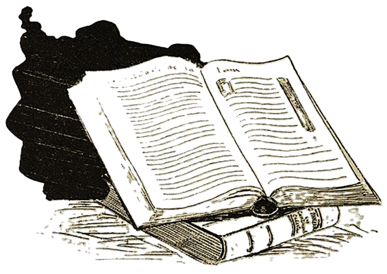 Illustration