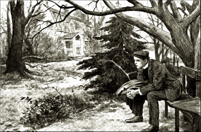 Illustration