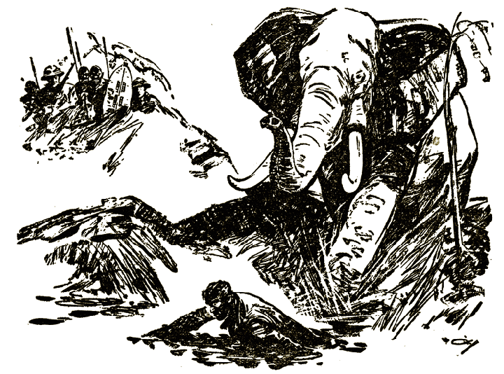 Illustration