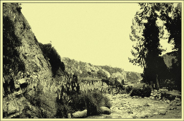 The 'Street of Sucre,' Right. The Road to the Lost Paradise
