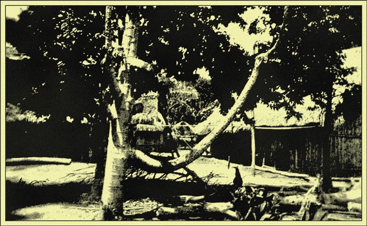 The Metropolis of Rurrenabaque