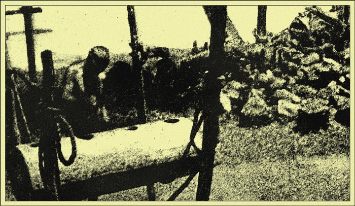 Jungle Telegraph