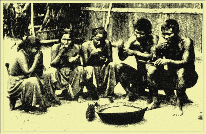 The Sauba is Eagerly Caught and—in Retaliation—Eaten Alive and Raw