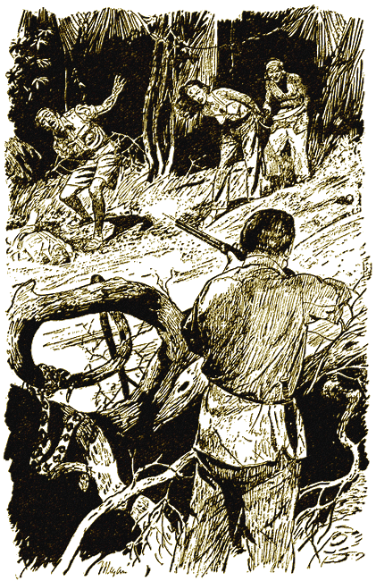 Illustration