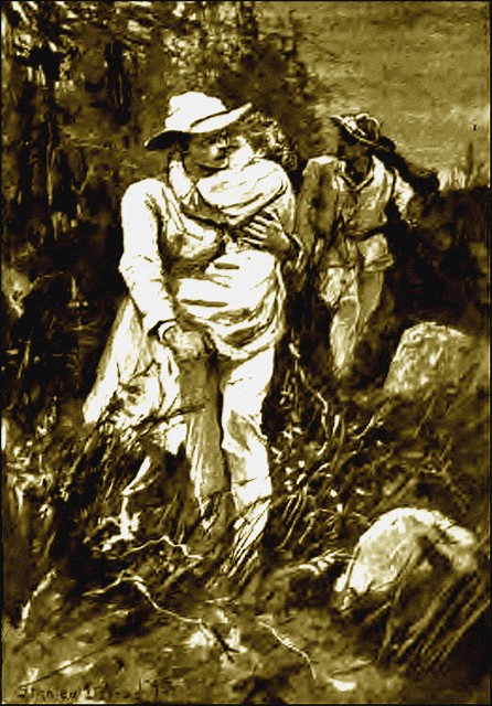 Illustration