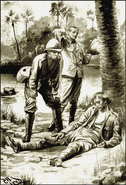Illustration