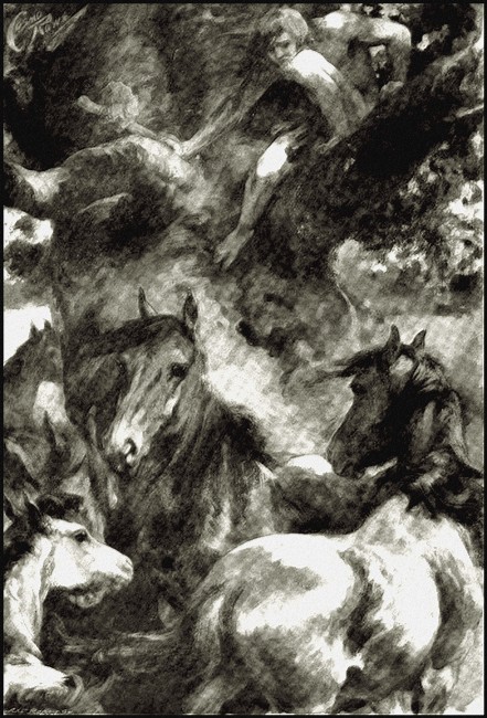 Illustration