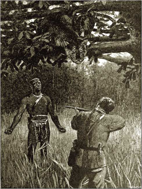 Illustration