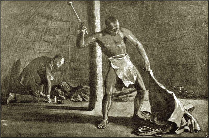 Illustration
