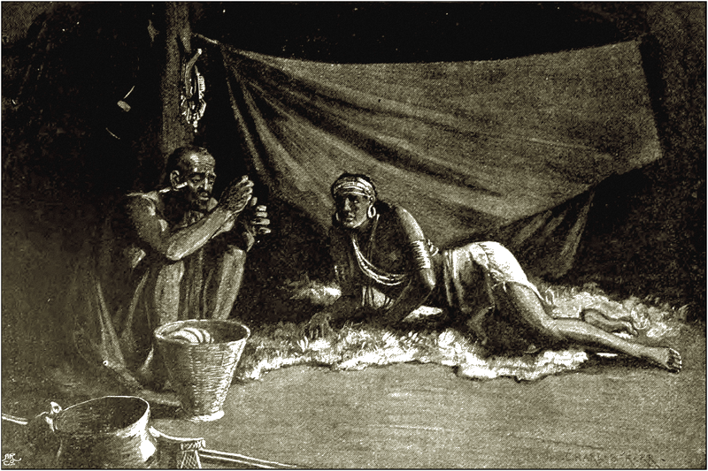 Illustration
