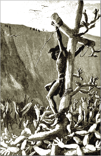 Illustration