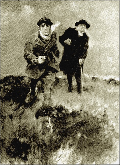Illustration