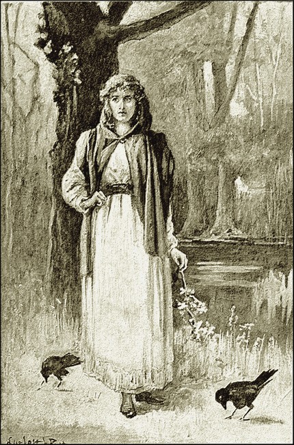 Illustration