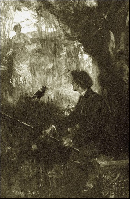 Illustration