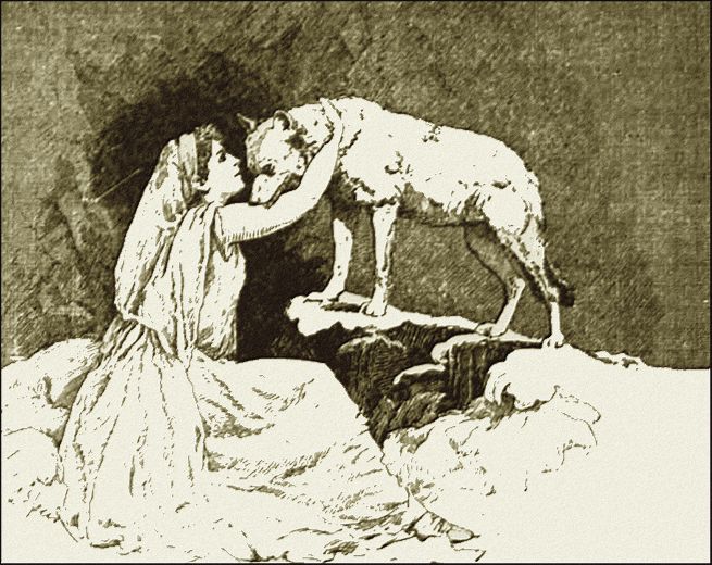 Illustration