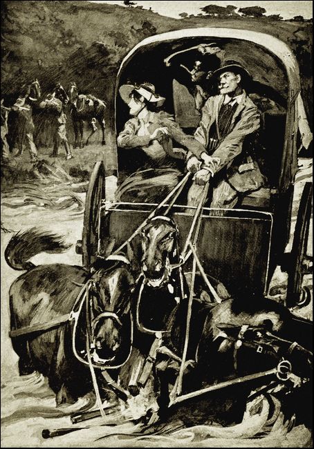 Illustration