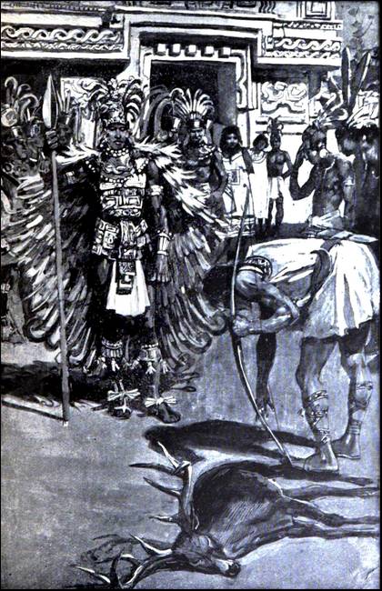Illustration