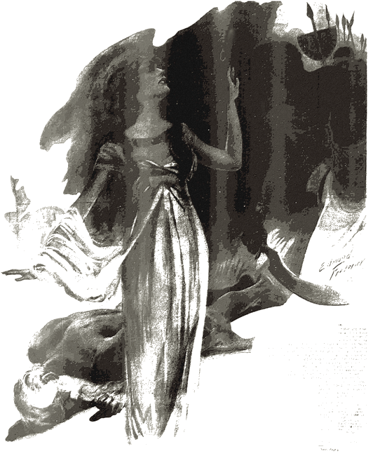 Illustration