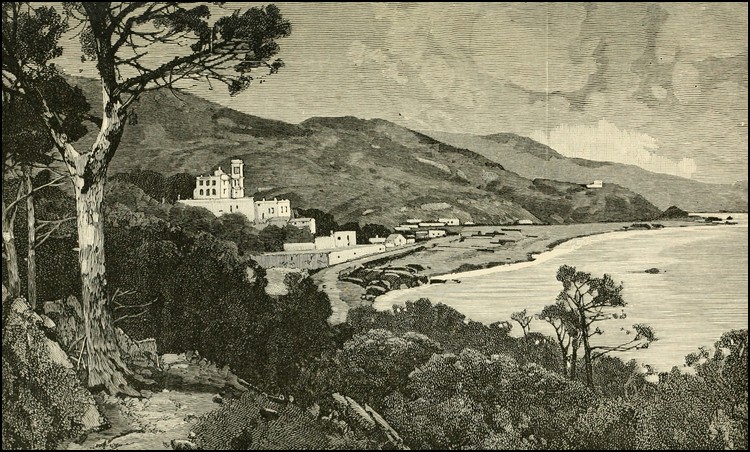 Illustration