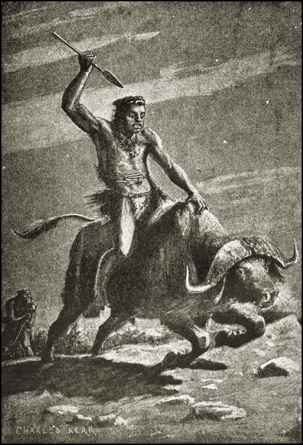 Illustration