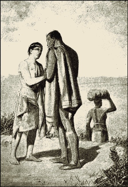 Illustration