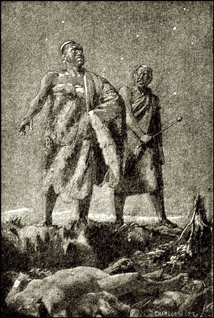 Illustration