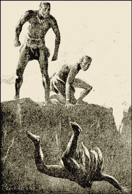 Illustration