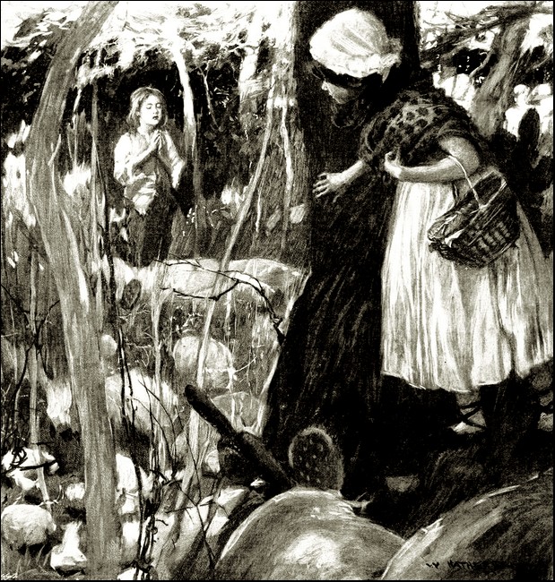 Illustration