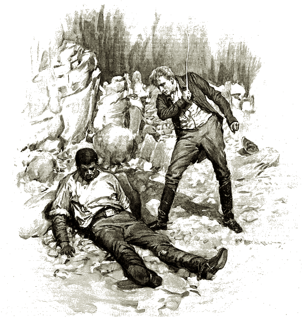 Illustration