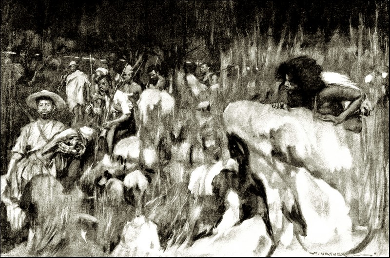 Illustration