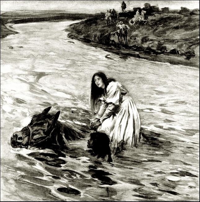 Illustration
