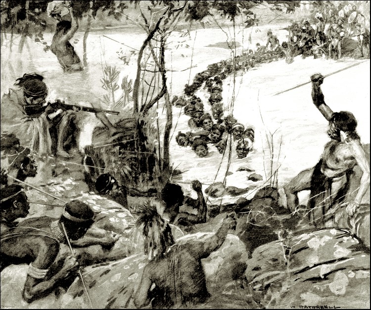Illustration
