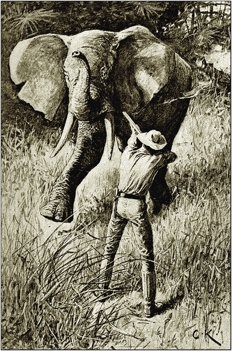 Illustration