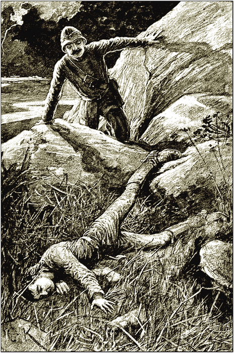 Illustration