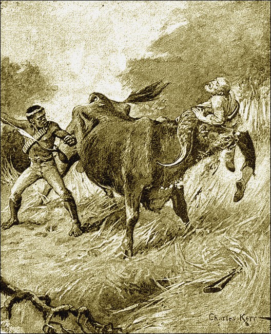 Illustration