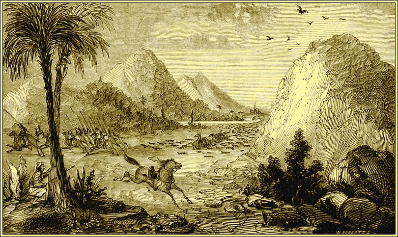 Illustration