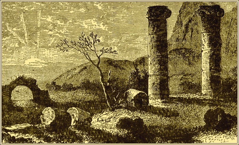 Illustration