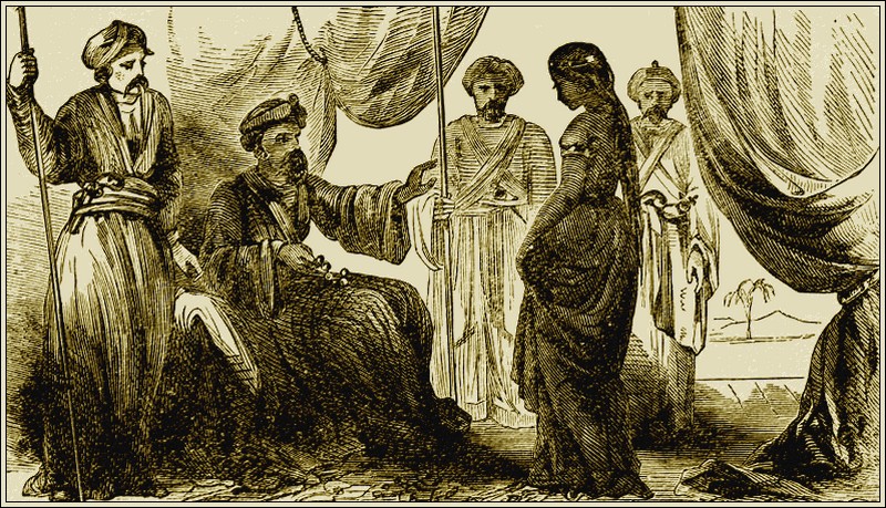 Illustration