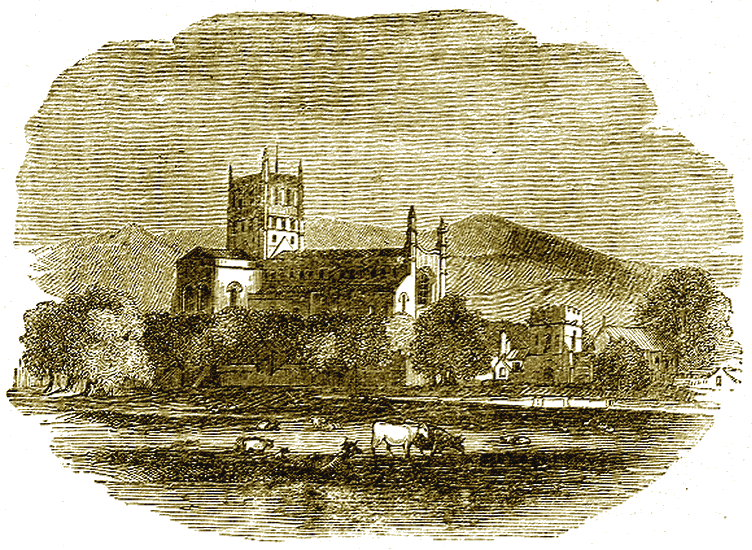 Illustration