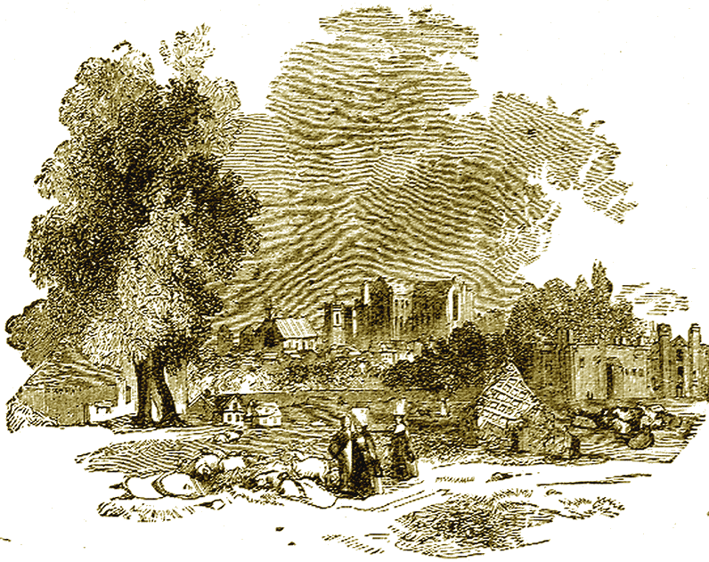 Illustration